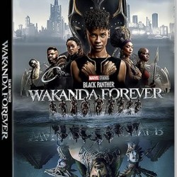 Black Panther Wakanda Forever DVD Wholesale