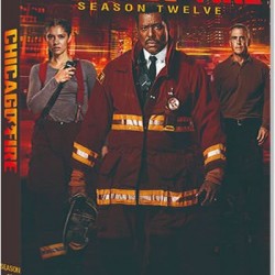 Chicago Fire Season 12 (3-Disc DVD)