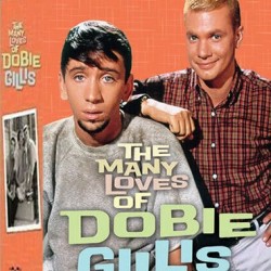 The Many Loves of Dobie Gillis Complete Series DVD Wholesale